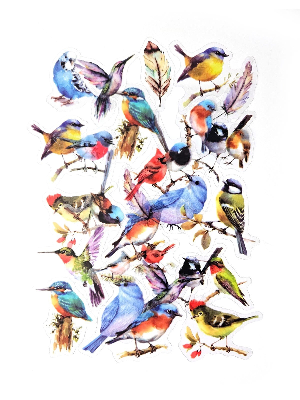 Villem Läbipaistva taustaga kleepsud - Metsaalinnud 40 tk Galeria Papieru