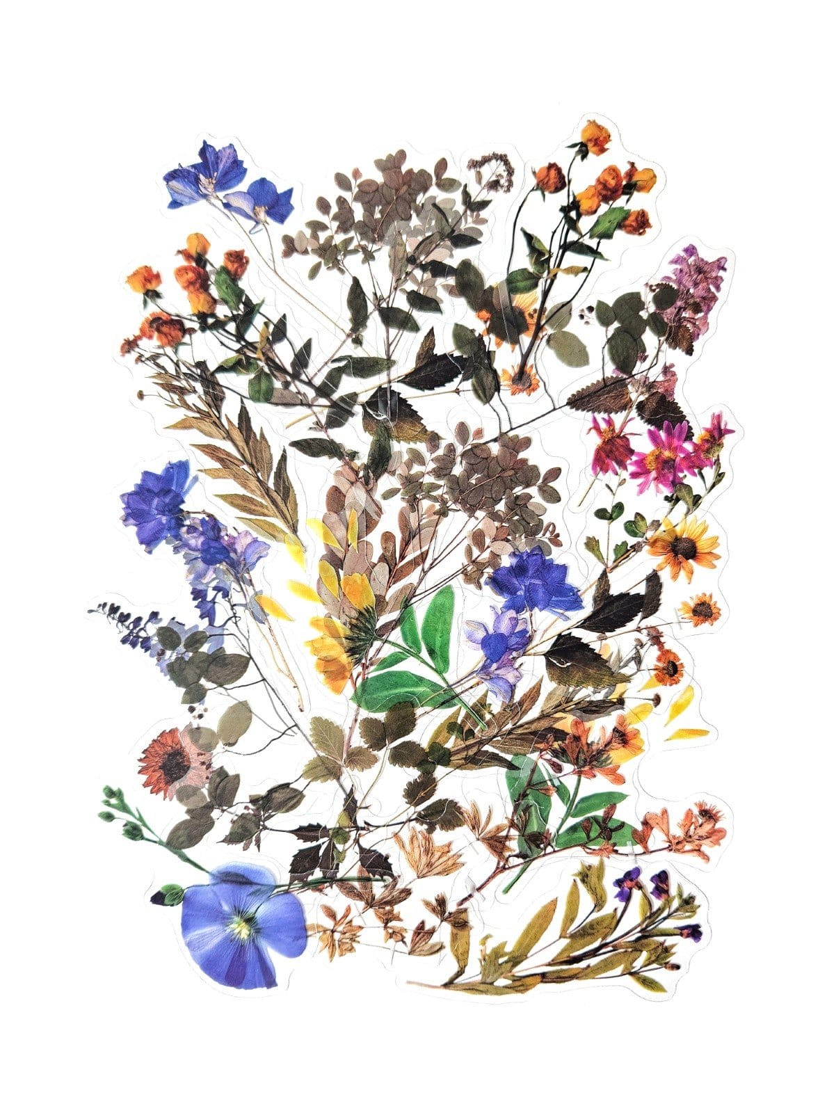 Villem Läbipaistva taustaga kleepsud - Põllulilled 40 tk Galeria Papieru