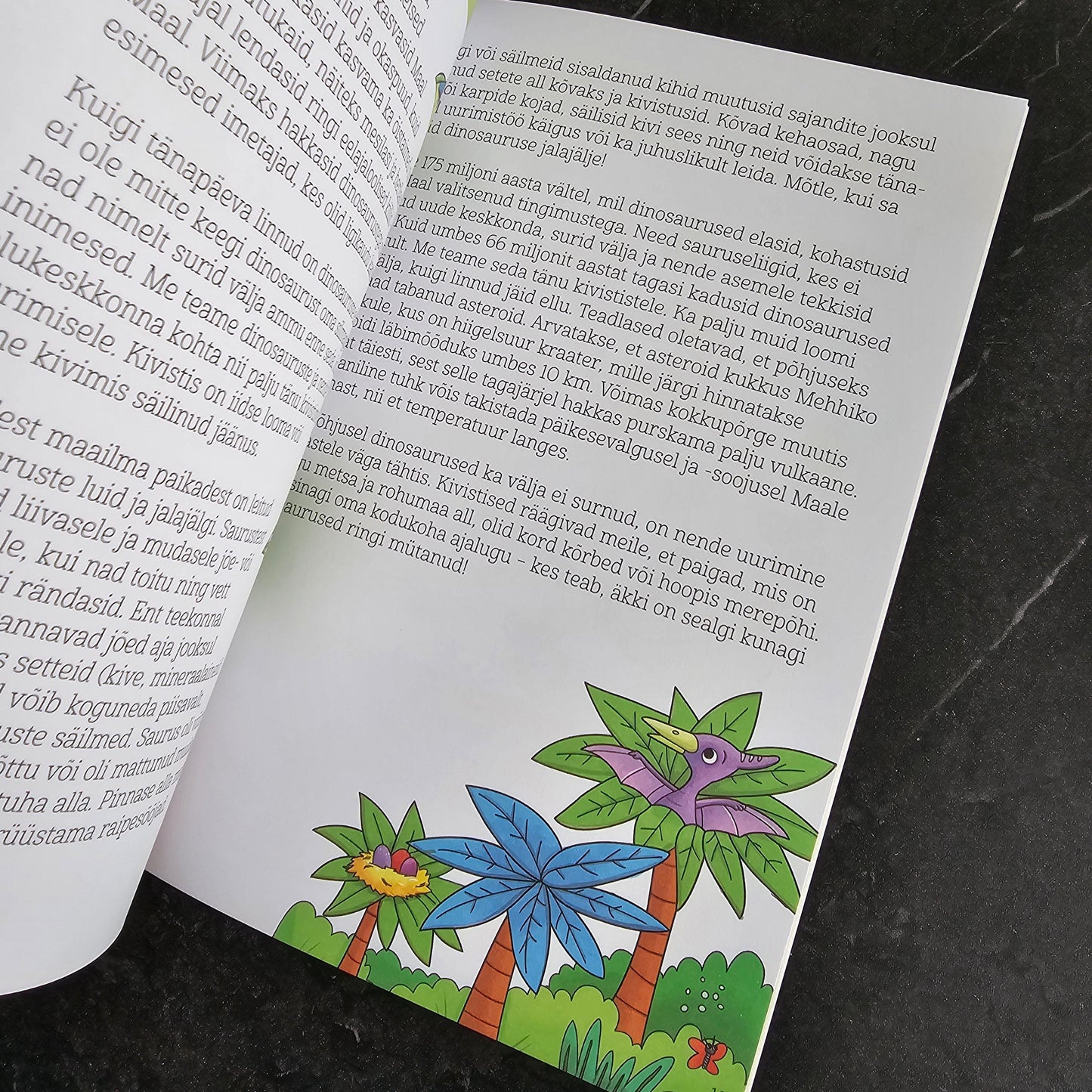 Villem Dinosaurused. Ajutised tätoveeringud Koolibri