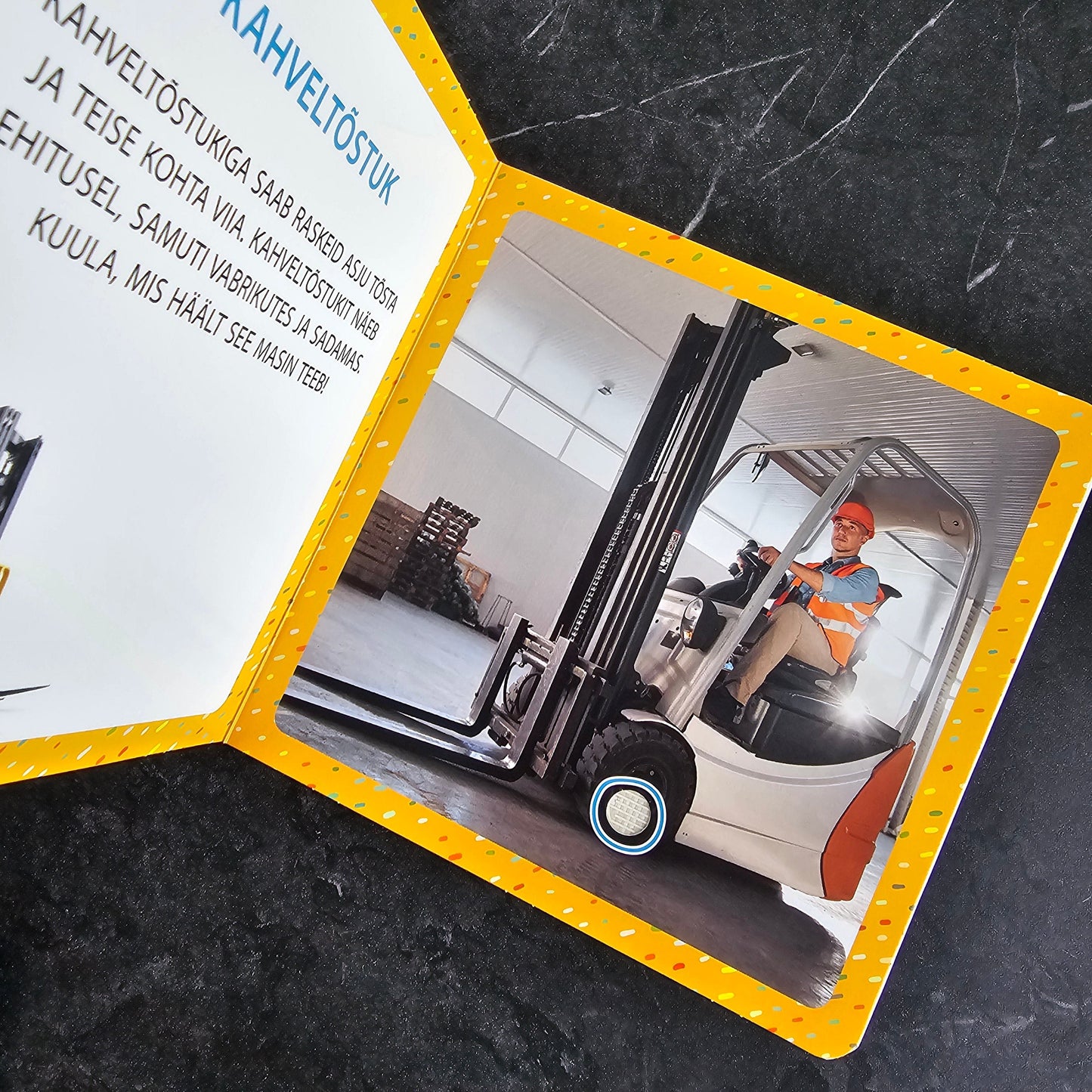 Villem Ehitusplatsil. Heliraamat kõige pisematele Koolibri