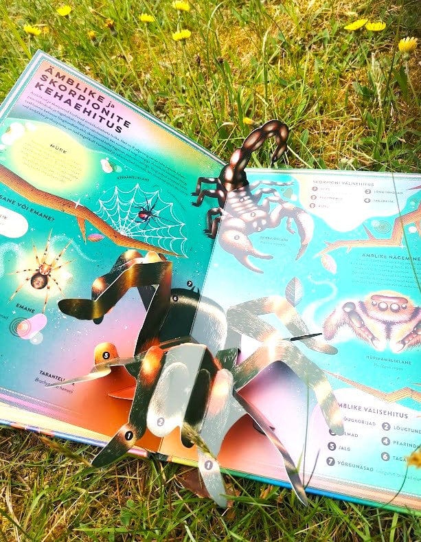 Villem H- Putukate elu Koolibri