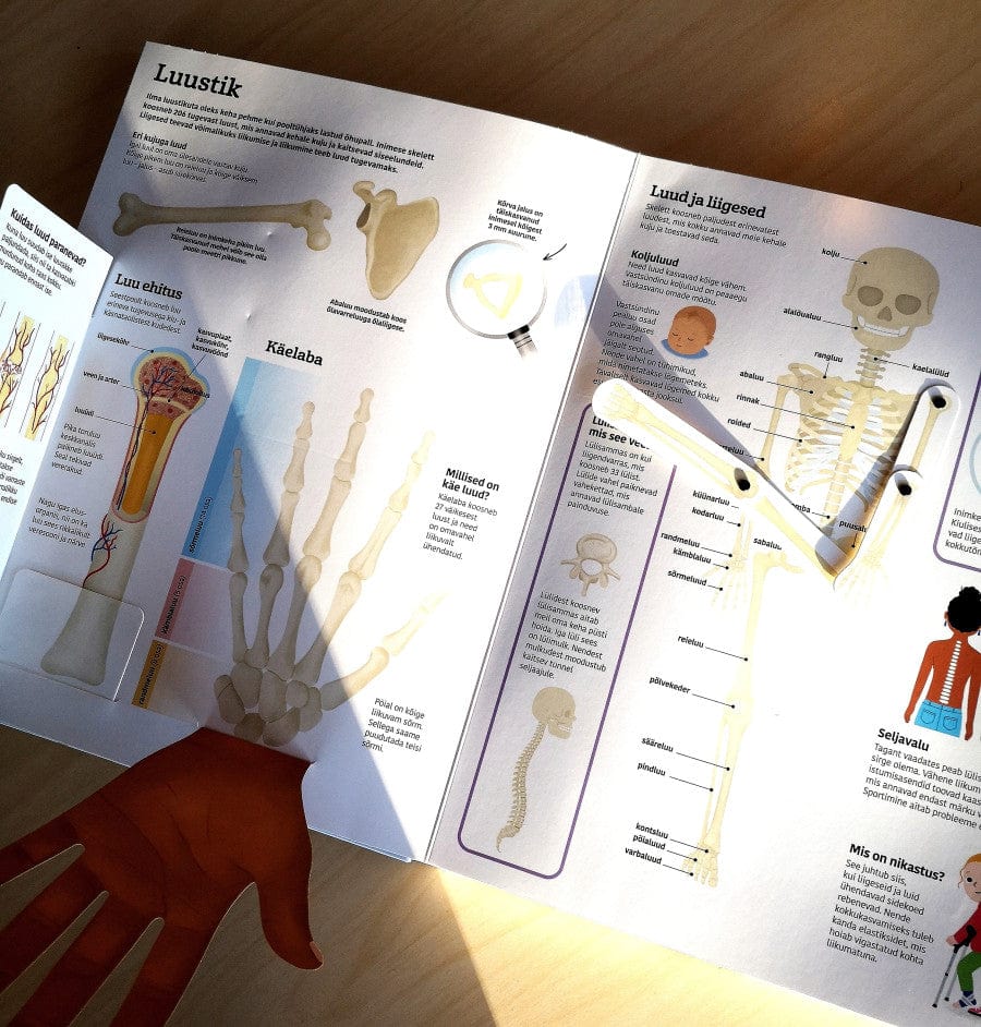 Villem Inimkeha. Suur klapiraamat Koolibri