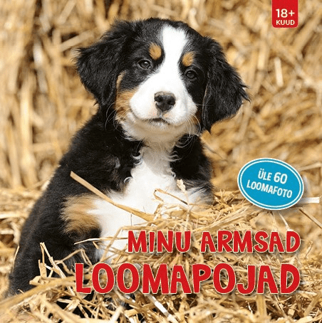 Villem Minu armsad loomapojad Koolibri