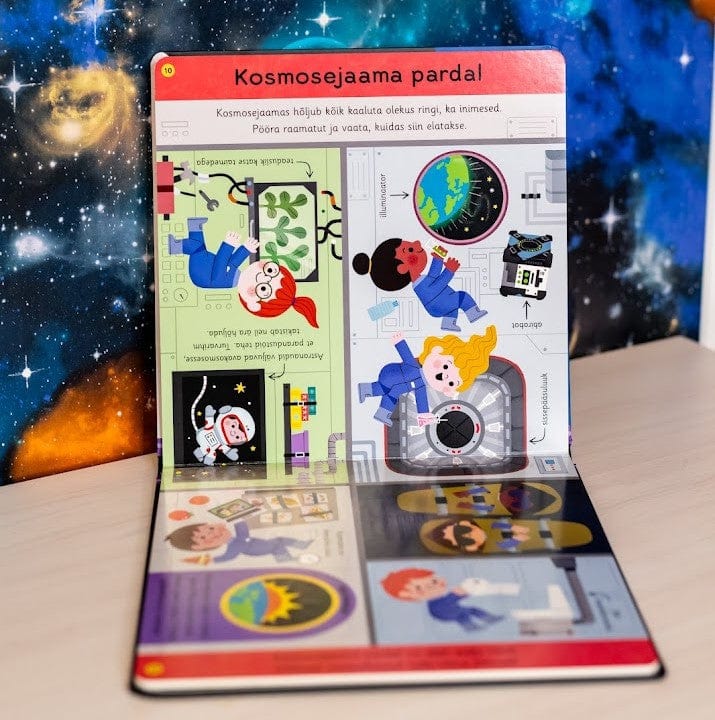 Villem Minu esimene kosmoseraamat Koolibri