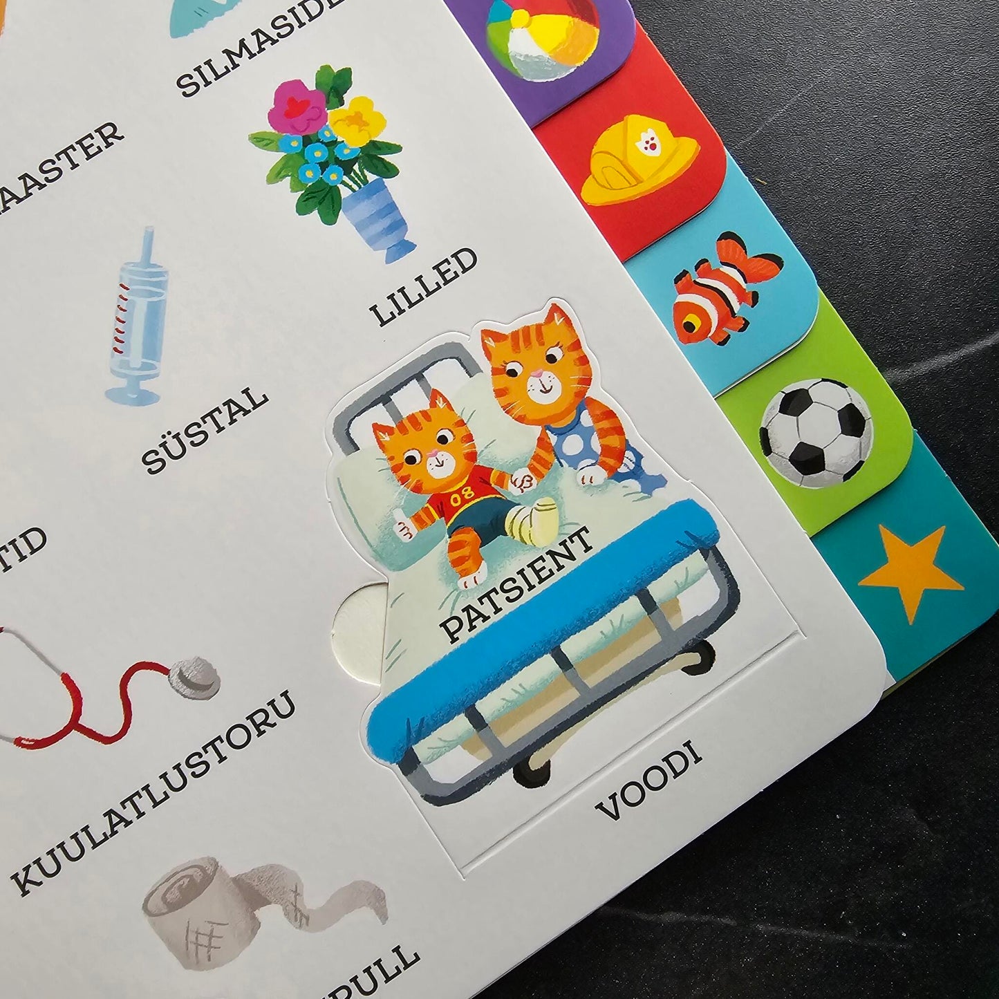 Villem Mõmmiku suur sõnade raamat Koolibri