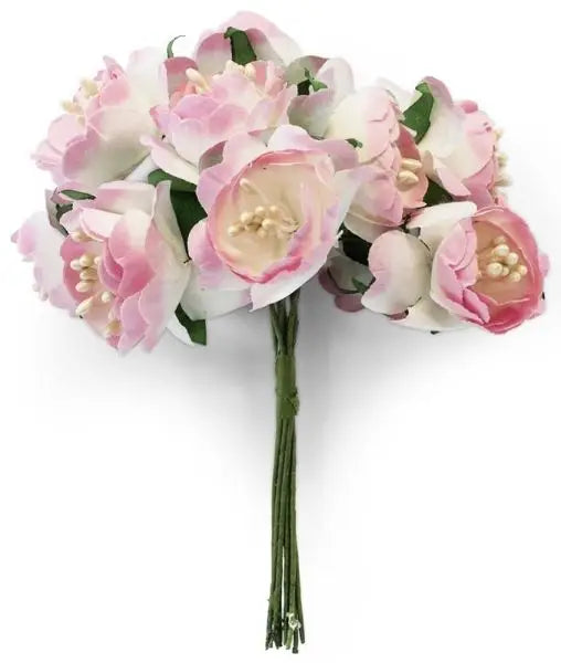 Villem Paberlill pojeng- roosakasvalged 10 tk LÕPUMÜÜK