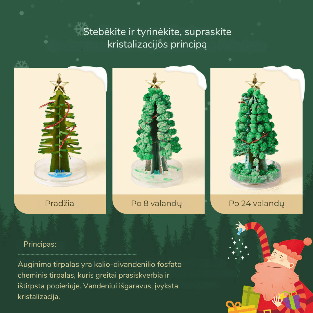 Villem MIDEER loovkomplekt Maagiline kuusk Mideer