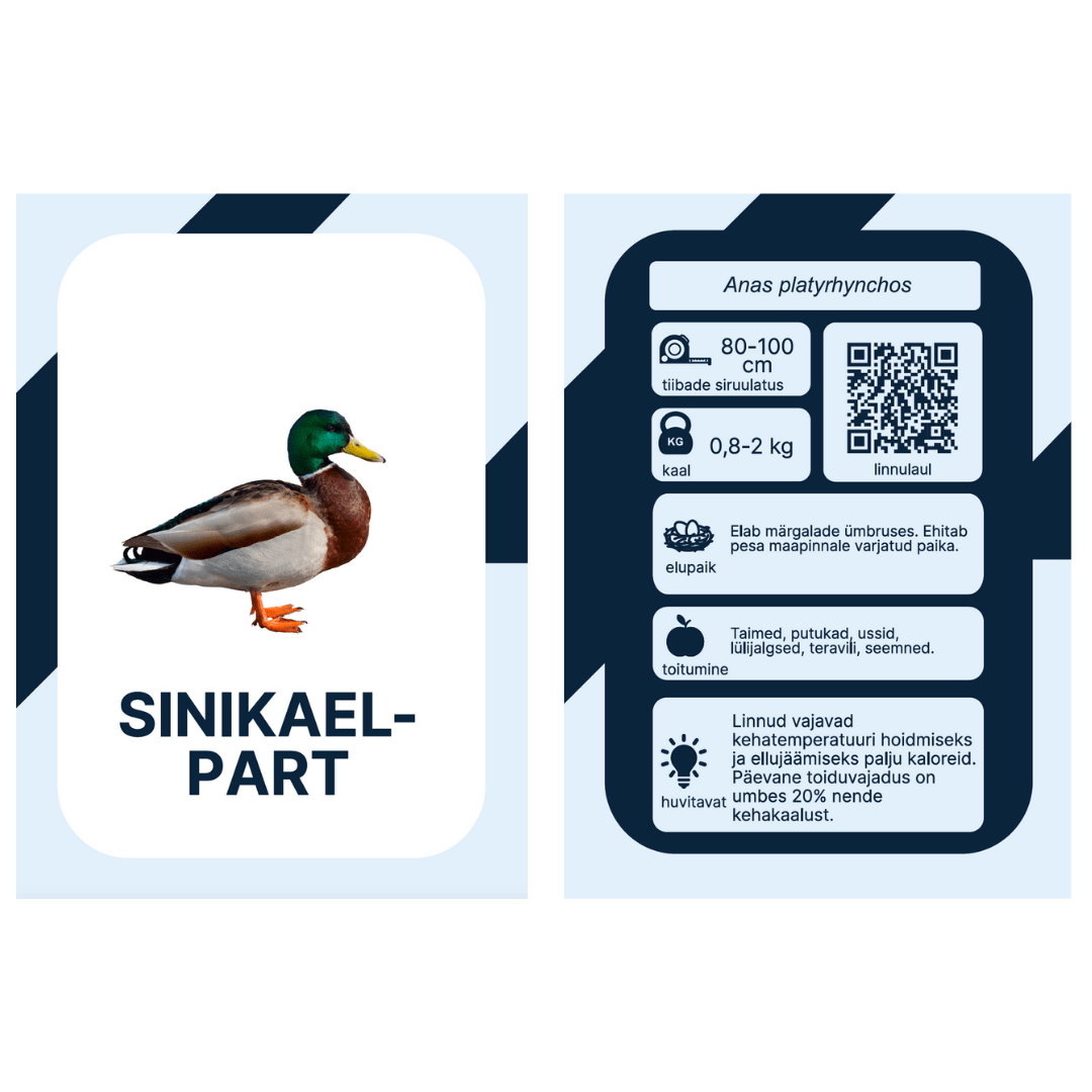 Villem Õppekaardid Eesti linnud NUPU