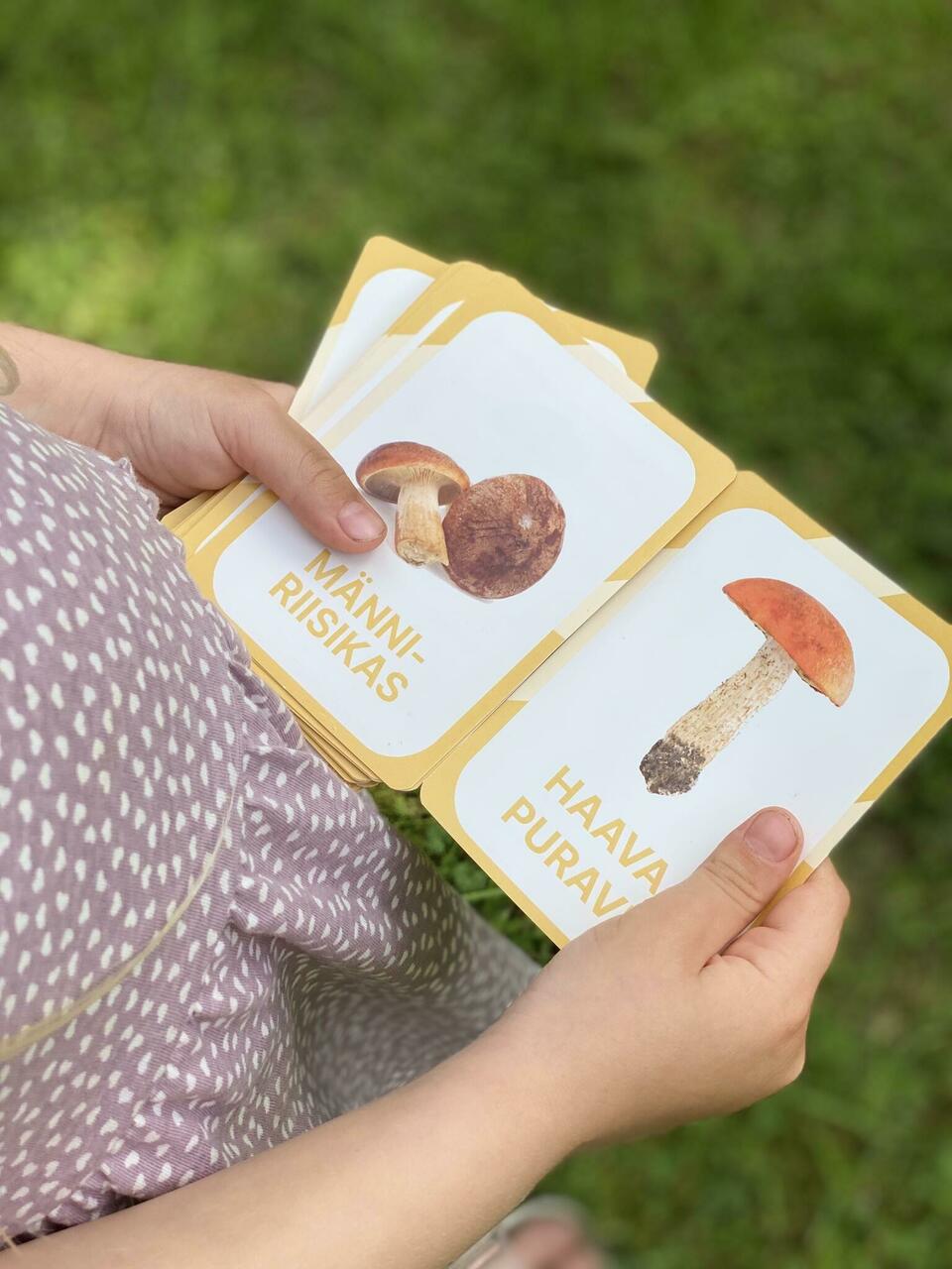 Villem Õppekaardid Eesti seened NUPU