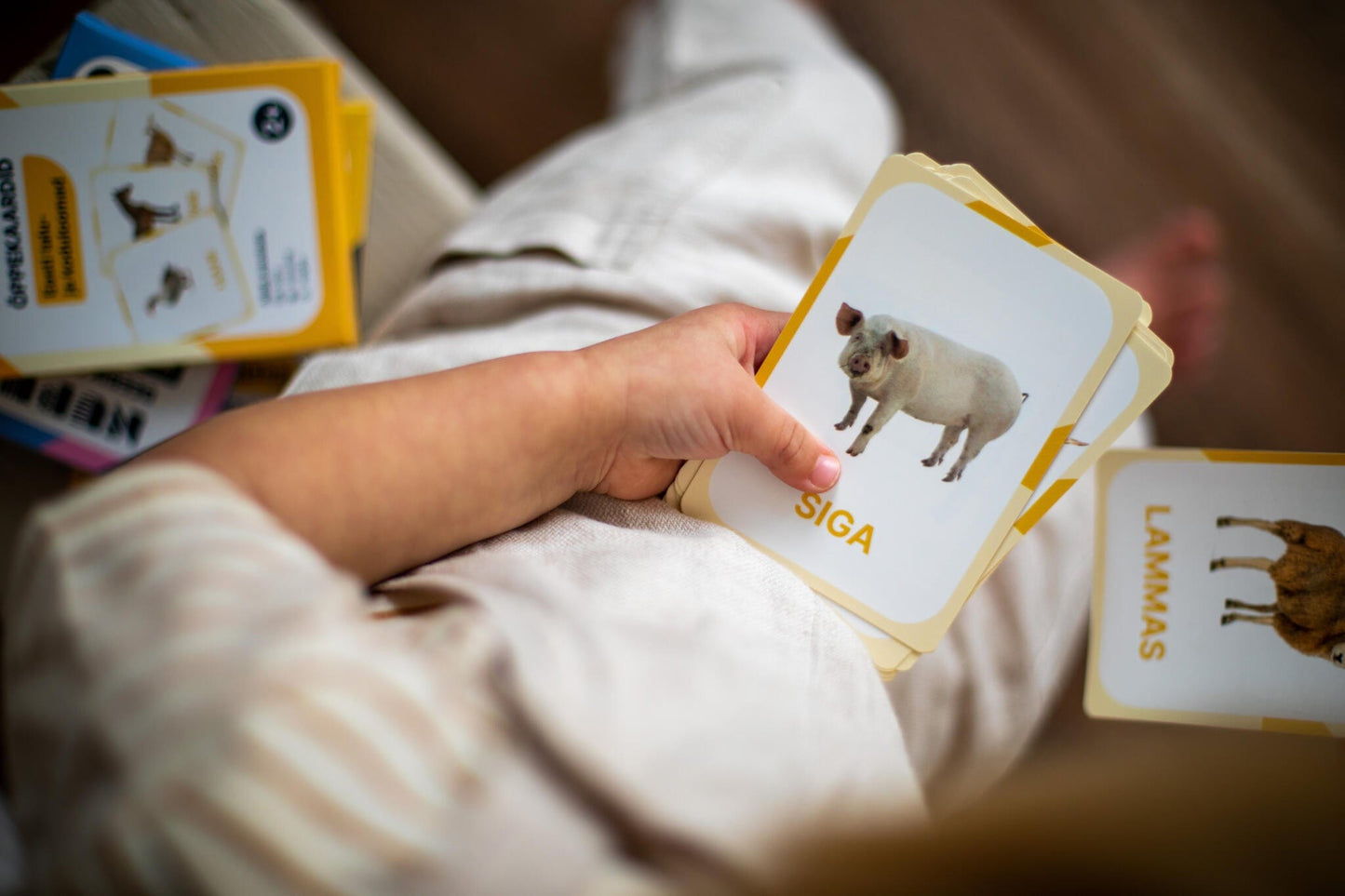 Villem Õppekaardid Eesti talu- ja koduloomad NUPU