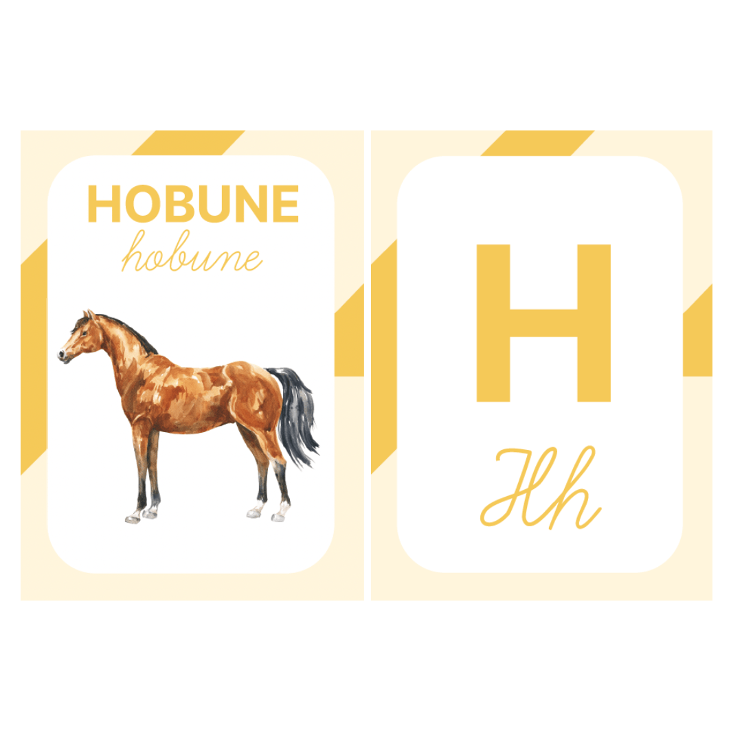 Villem Õppekaardid Tähed NUPU