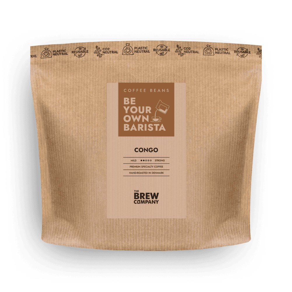 Villem CONGO COFFEE BEANS The Brew Company Whole Beans / 333g (11.75oz)