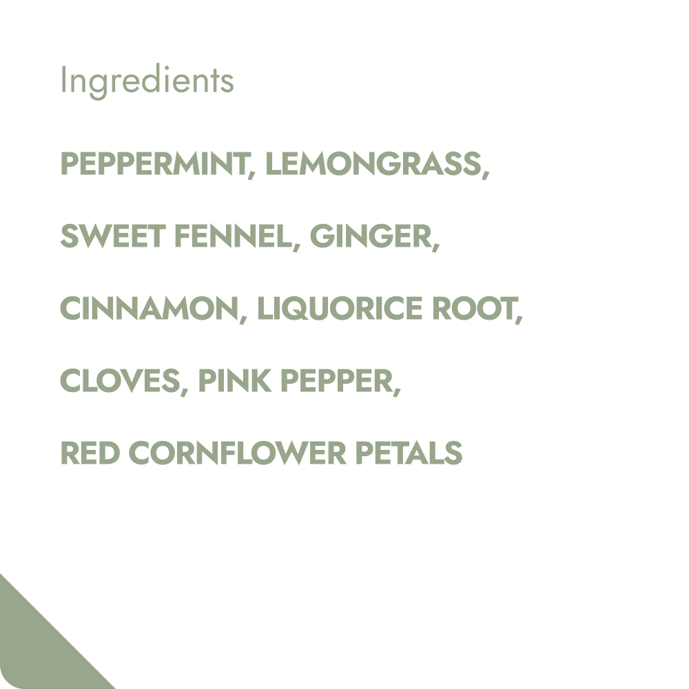 Villem COOL MINT TEABREWER The Brew Company