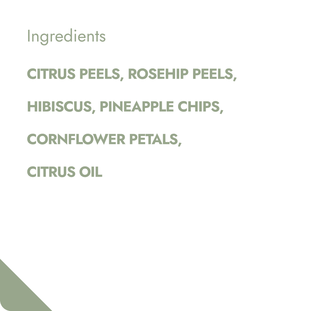 Villem GRAPEFRUIT PUNCH TEABREWER The Brew Company