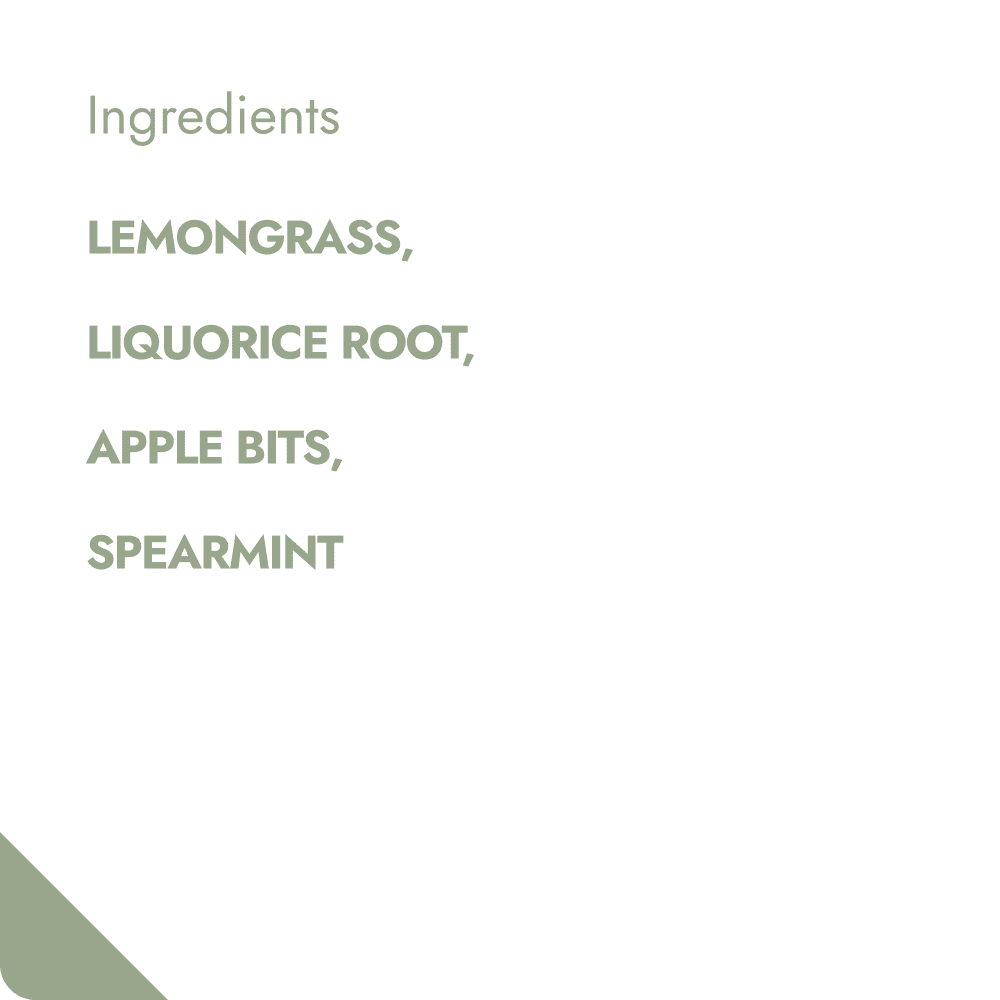 Villem REVITALISING TREAT TEABREWER The Brew Company