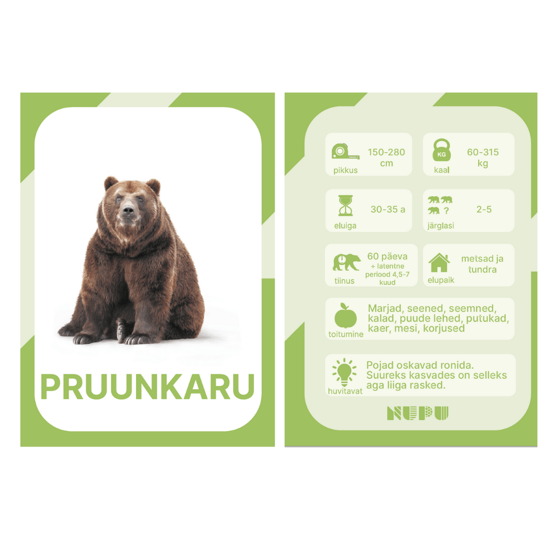 Villem Jõulupakk 8 - ettetellimine Villem