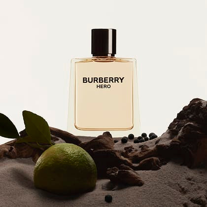 Villem Burberry Hero Eau de Toilette meestele 50 ml Burberry