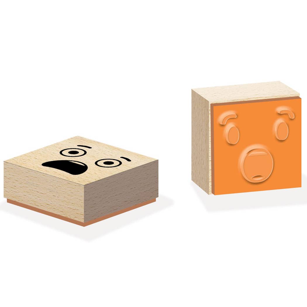 Villem Emotsioonide templite õppekomplekt – Tunded pildis Créa Lign