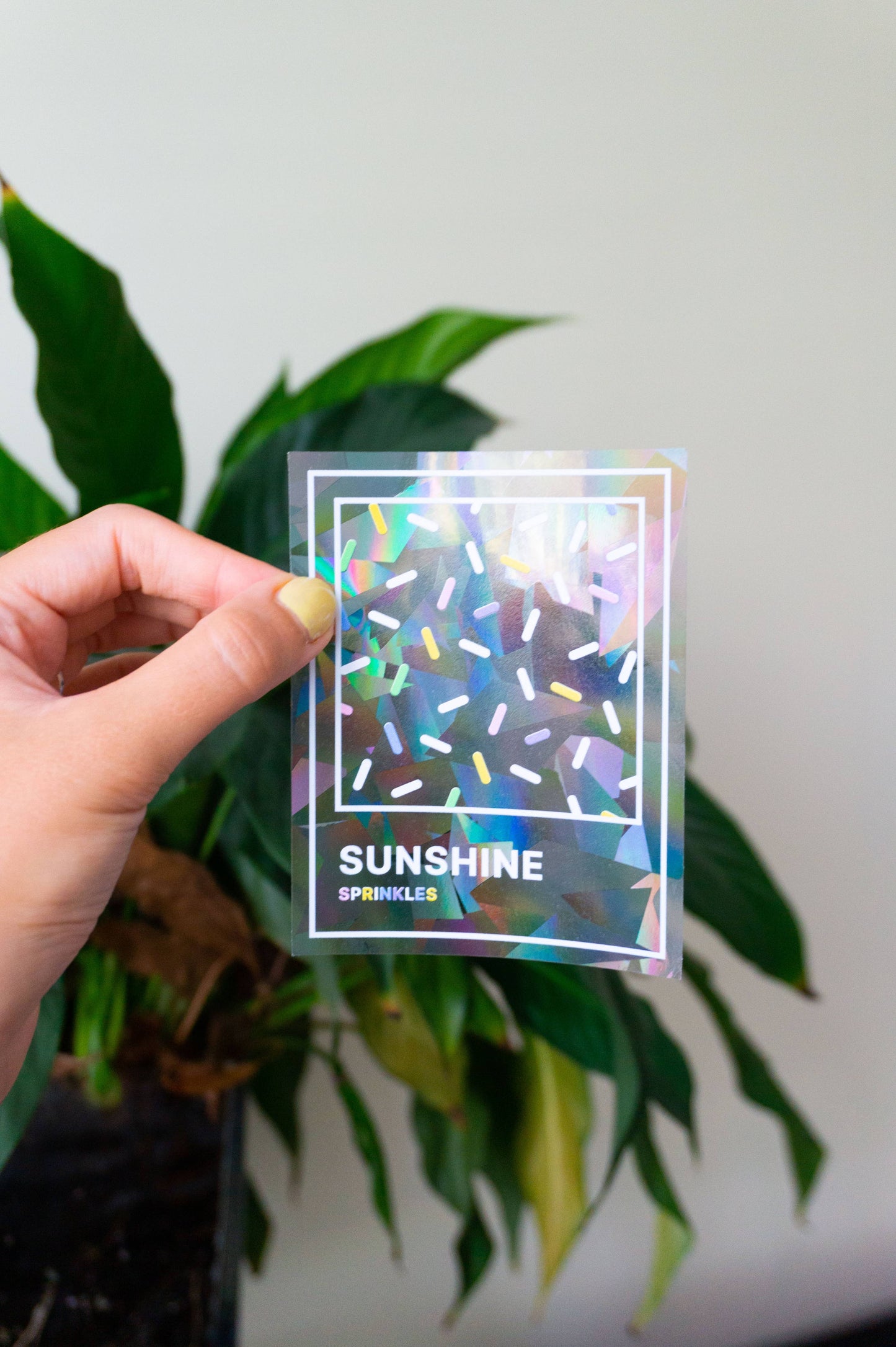 Villem Vikerkaare päikesepüüdja kleebis "Sunshine" Creative Goodie