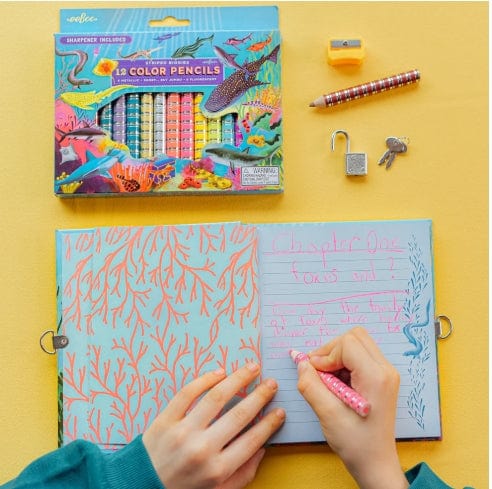 Villem EEBOO Shark Biggie  neoon-metallik värvipliiatsite komplekt 12 tk + teritaja EEBOO