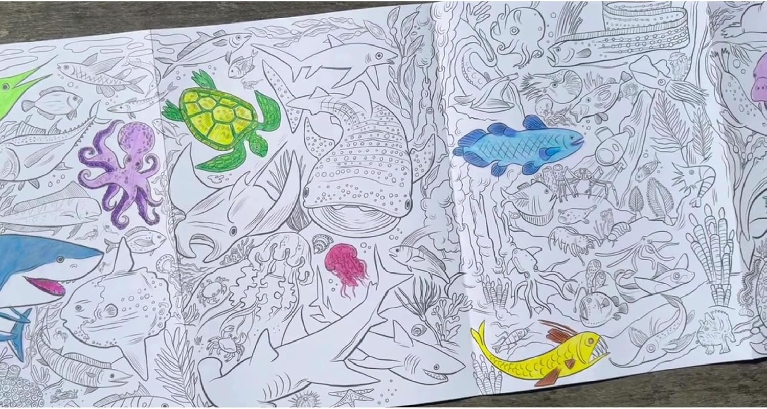 Villem EEBOO Under the Sea kokkuvoldutav värviraamat + 50 kleepsu EEBOO