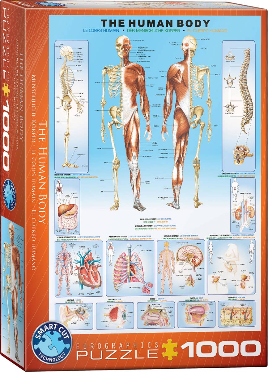 Villem Pusle The Human Body 1000 tk Eurographics Puzzles Europe