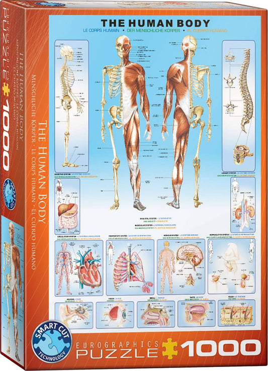 Villem Pusle The Human Body 1000 tk Eurographics Puzzles Europe