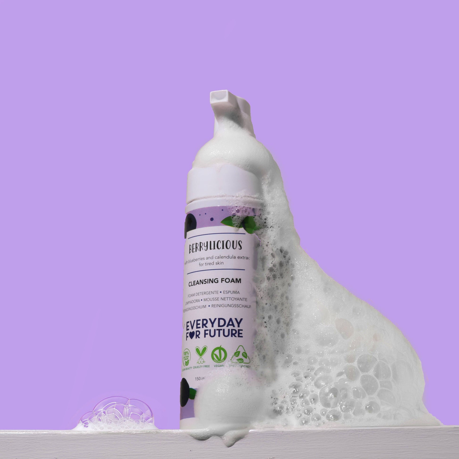 Villem Foam with Blueberry Extract - Gentle Facial Cleanser Everyday For Future