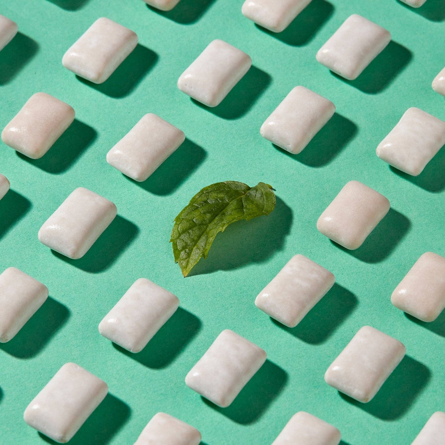 Villem Forest Gum Mint närimiskumm 20g Forest Gum