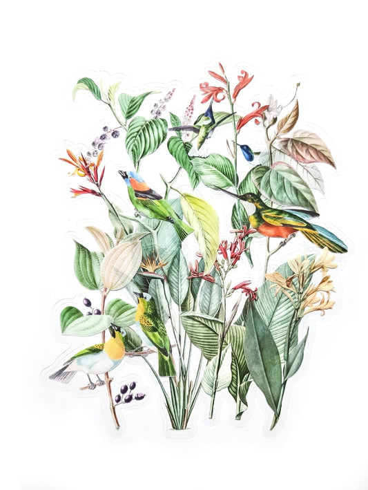 Villem Läbipaistva taustaga kleepsud - Eksootiline aed 12tk Galeria Papieru