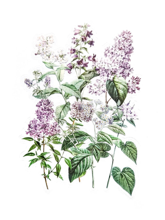 Villem Läbipaistva taustaga kleepsud - Lilla bukett 12tk Galeria Papieru