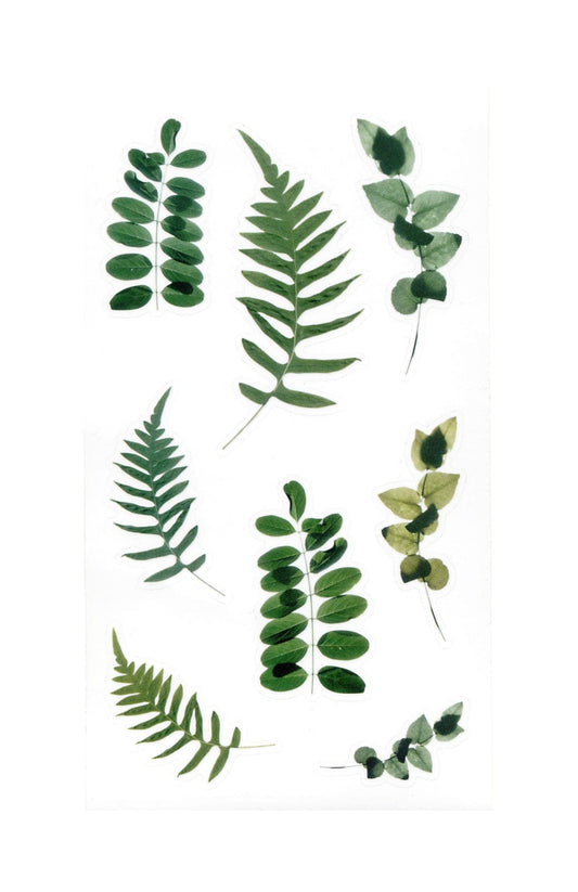 Villem Läbipaistva taustaga kleepsud - Sõnajalad 38tk Galeria Papieru