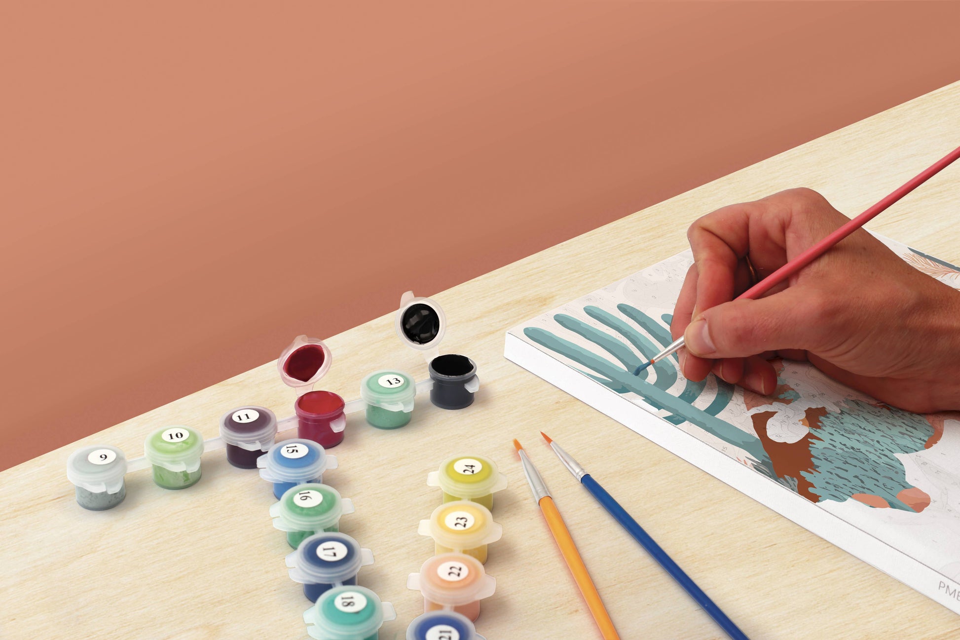 Villem Graine Créative Värvi numbrite järgi- Kaktus 20 × 30 cm Graine Créative