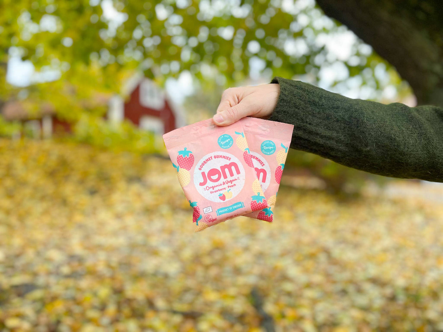 Villem Organic and Vegan Swedish Strawberry & Peach Gummies JOM