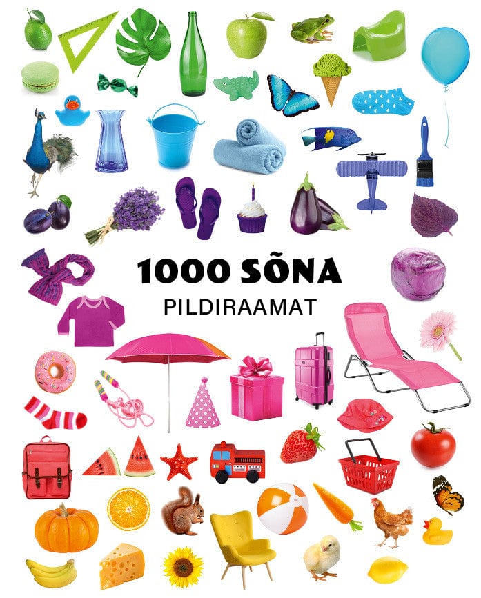 Villem 1000 sõna. Pildiraamat Koolibri