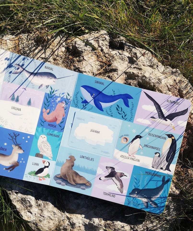 Villem 101 esimest sõna. Loomad Koolibri