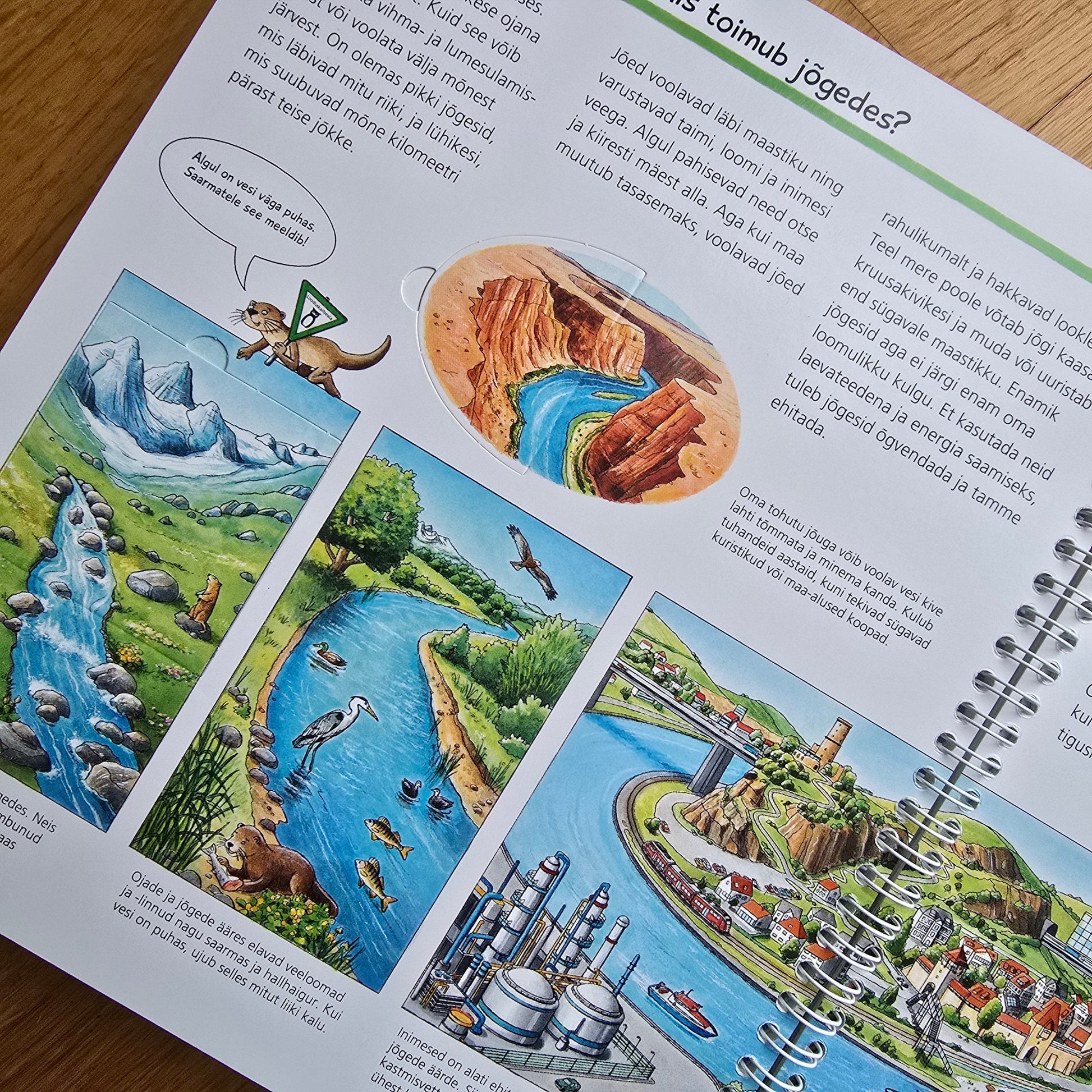 Villem Aga miks? Vesi meie ümber Koolibri