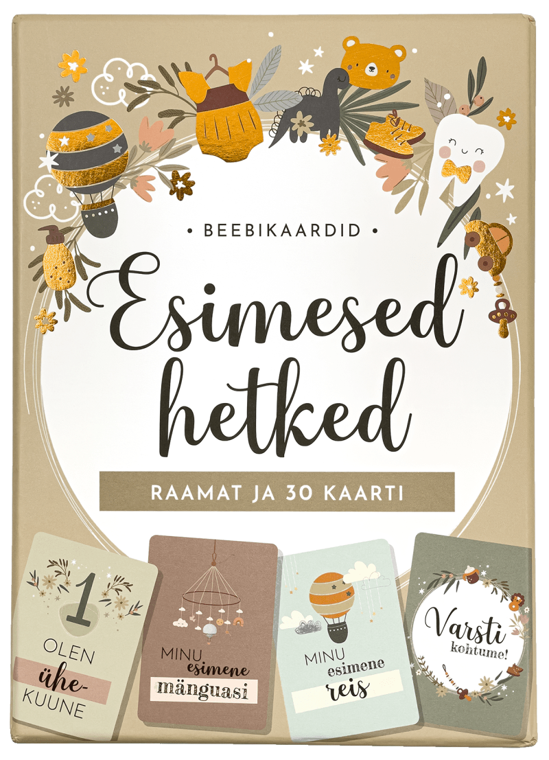 Villem Beebikaardid. Esimesed hetked Koolibri