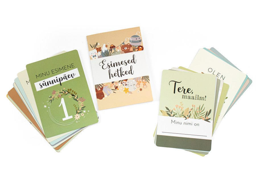 Villem Beebikaardid. Esimesed hetked Koolibri