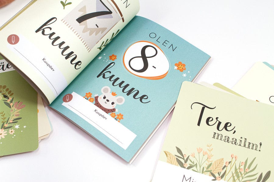 Villem Beebikaardid. Esimesed hetked Koolibri