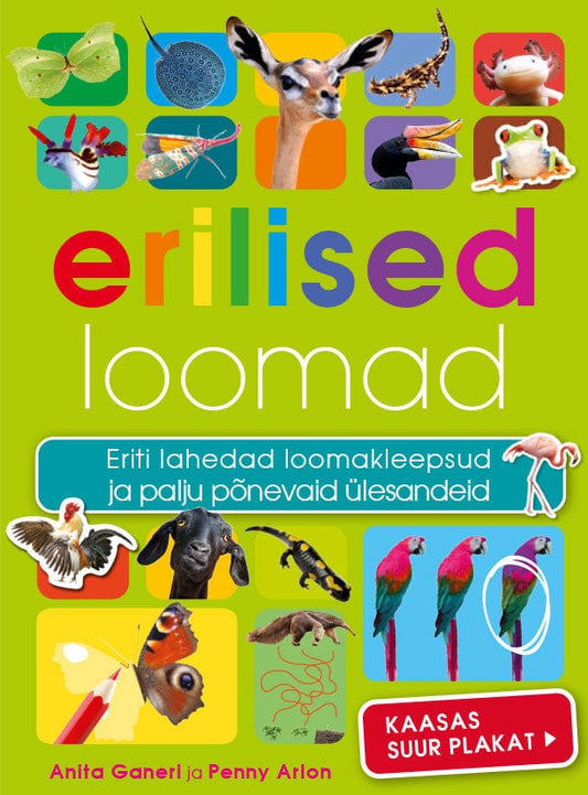 Villem Erilised loomad Koolibri