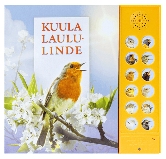 Villem H- Kuula laululinde Koolibri