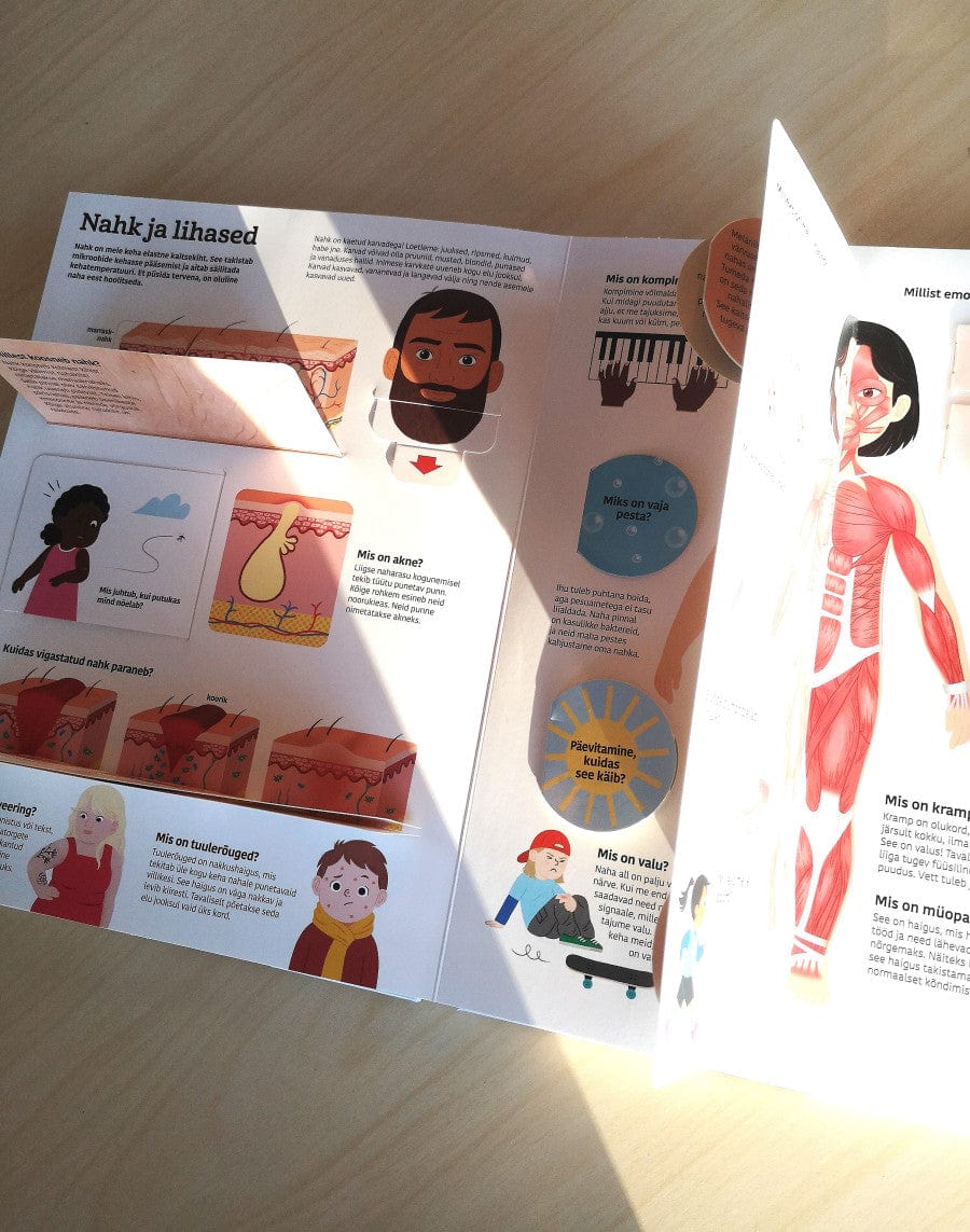 Villem Inimkeha. Suur klapiraamat Koolibri