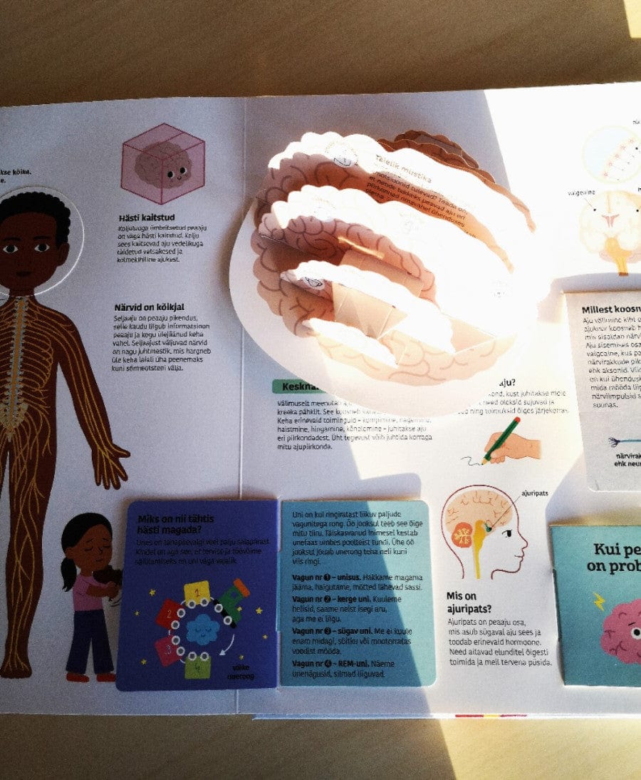 Villem Inimkeha. Suur klapiraamat Koolibri