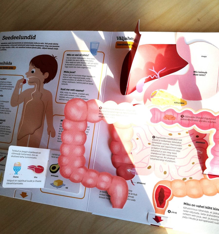 Villem Inimkeha. Suur klapiraamat Koolibri