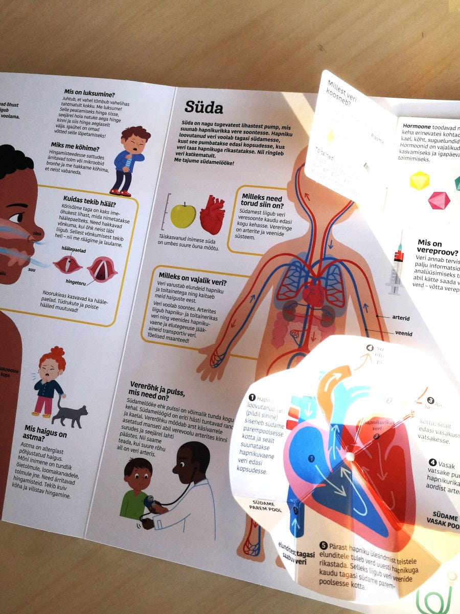 Villem Inimkeha. Suur klapiraamat Koolibri