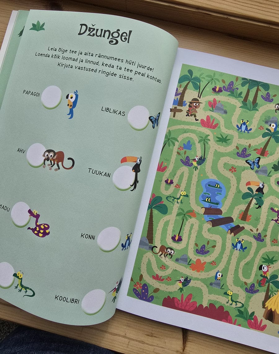 Villem Labürindid. Leia väljapääs! Koolibri