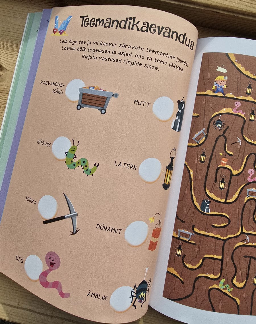 Villem Labürindid. Leia väljapääs! Koolibri