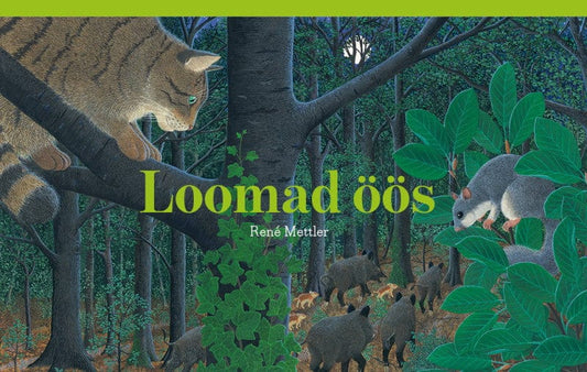 Villem Loomad öös - suur raamat! Koolibri