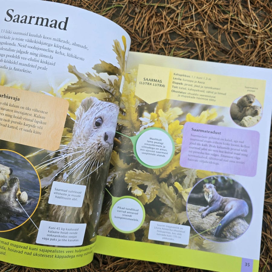 Villem Loomaentsüklopeedia Koolibri